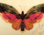 蝴蝶 - 阿尔伯特·比尔施塔特